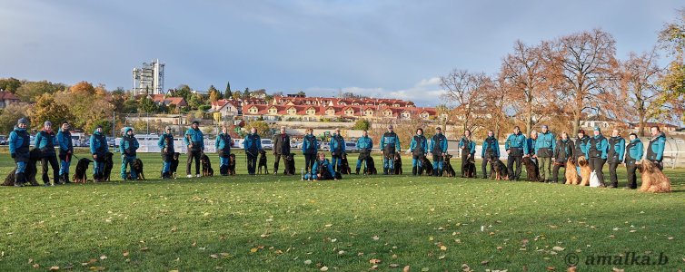 CMBF  neboli Mistrovství světa francouzských ovčáků a bouvierů  - Kladno 2023 